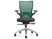 Mesh Medium Back Chair