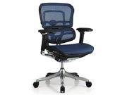 Mesh Medium Back Chair