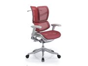Mesh Medium Back Chair