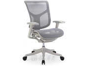 Mesh Medium Back Chair