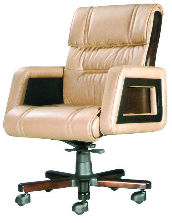 ��Ƥ�а���CG-JDDBY-17-M